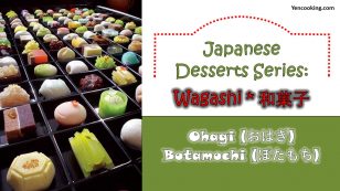 Japanese Desserts Series: Wagashi 和菓子 Ohagi Botamochi おはぎ (ぼたもち)